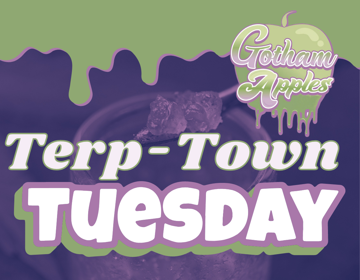 Terp Town Tuesday